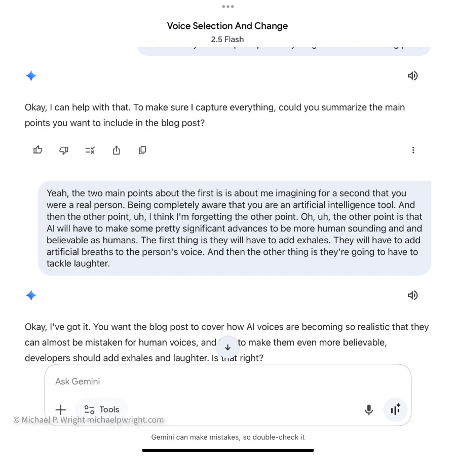 Google Gemini screenshot of a Gemini Live chat session for The AI of the beholder article Thumbnail 2025.10.08